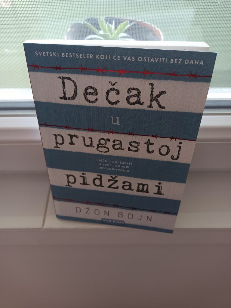 Dečak u prugastoj pidžami - priča koja slomi srce bez jedinog krvavog detalja 4