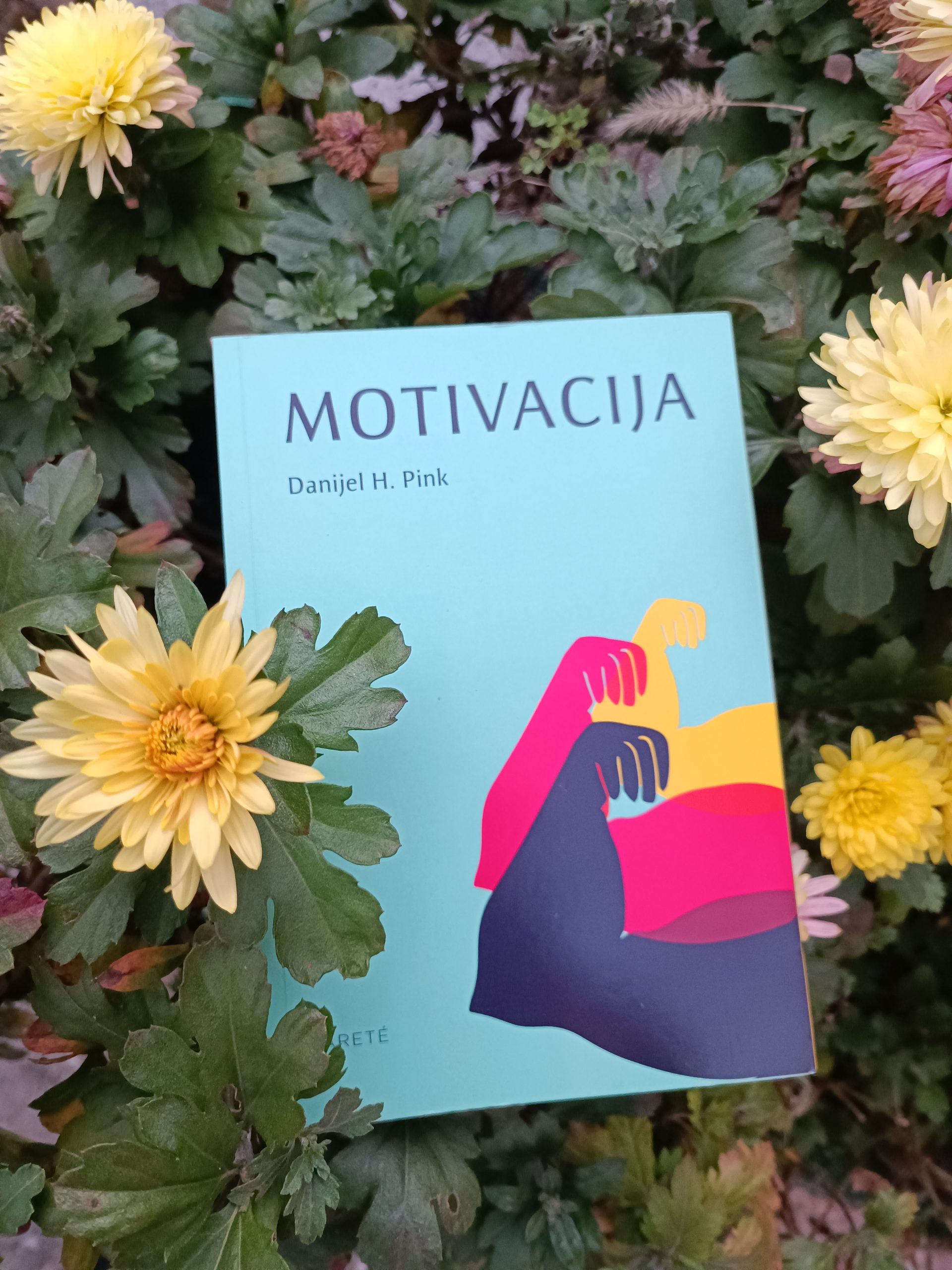 Motivacija motivation Daniel Pink motivation 3.0