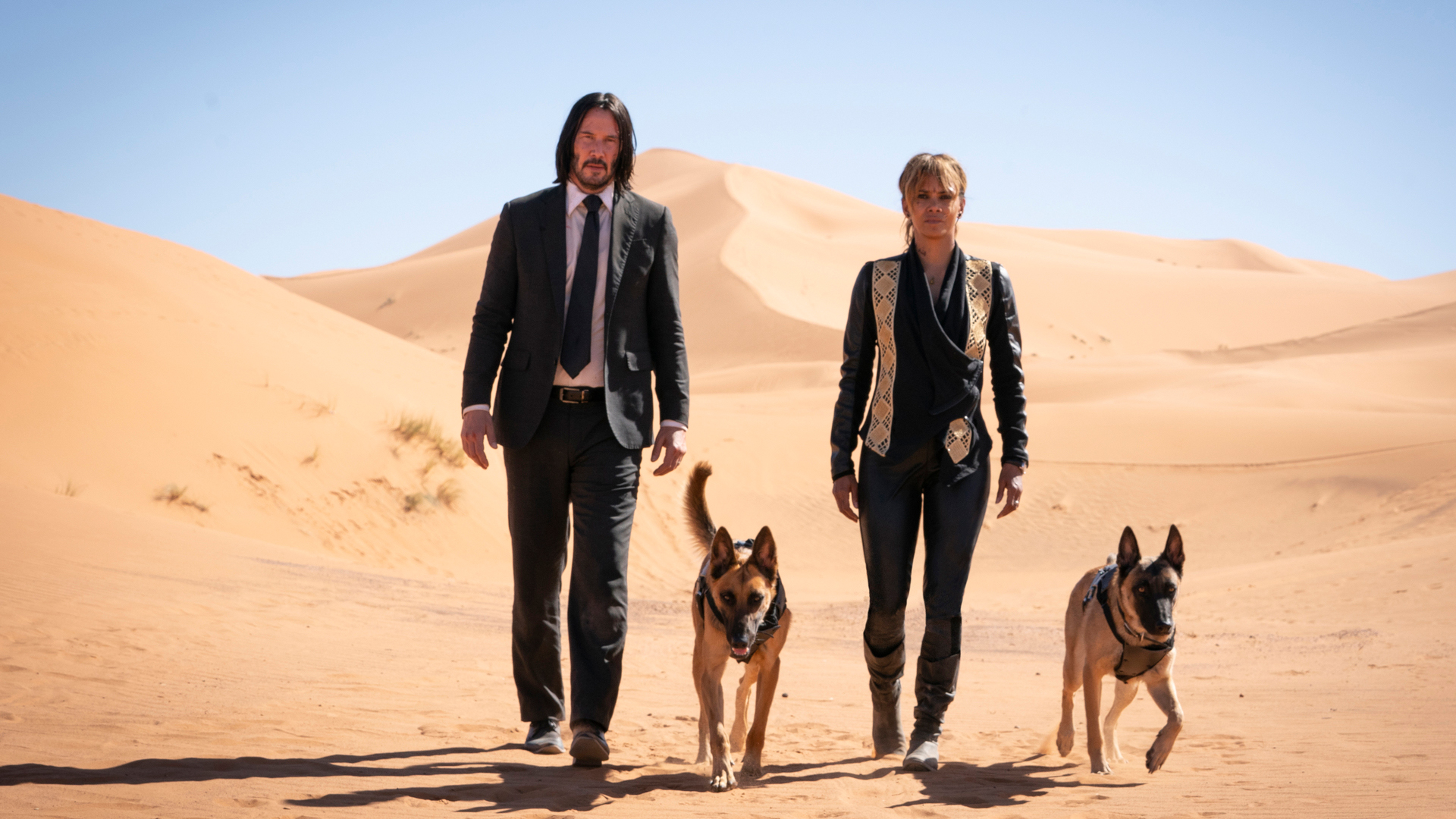 John Wick Keanu Reeves dog Džon Vik Kijanu Rivs Kontinental Continental Chapter 3 Parabellum Halle Berry