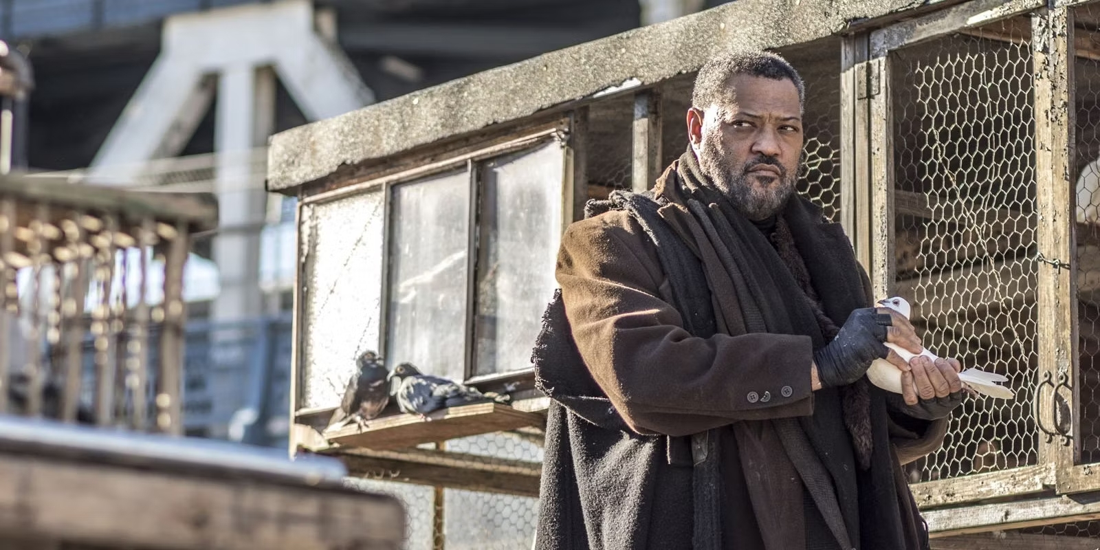 John Wick Keanu Reeves dog Džon Vik Kijanu Rivs Kontinental Continental Chapter 2