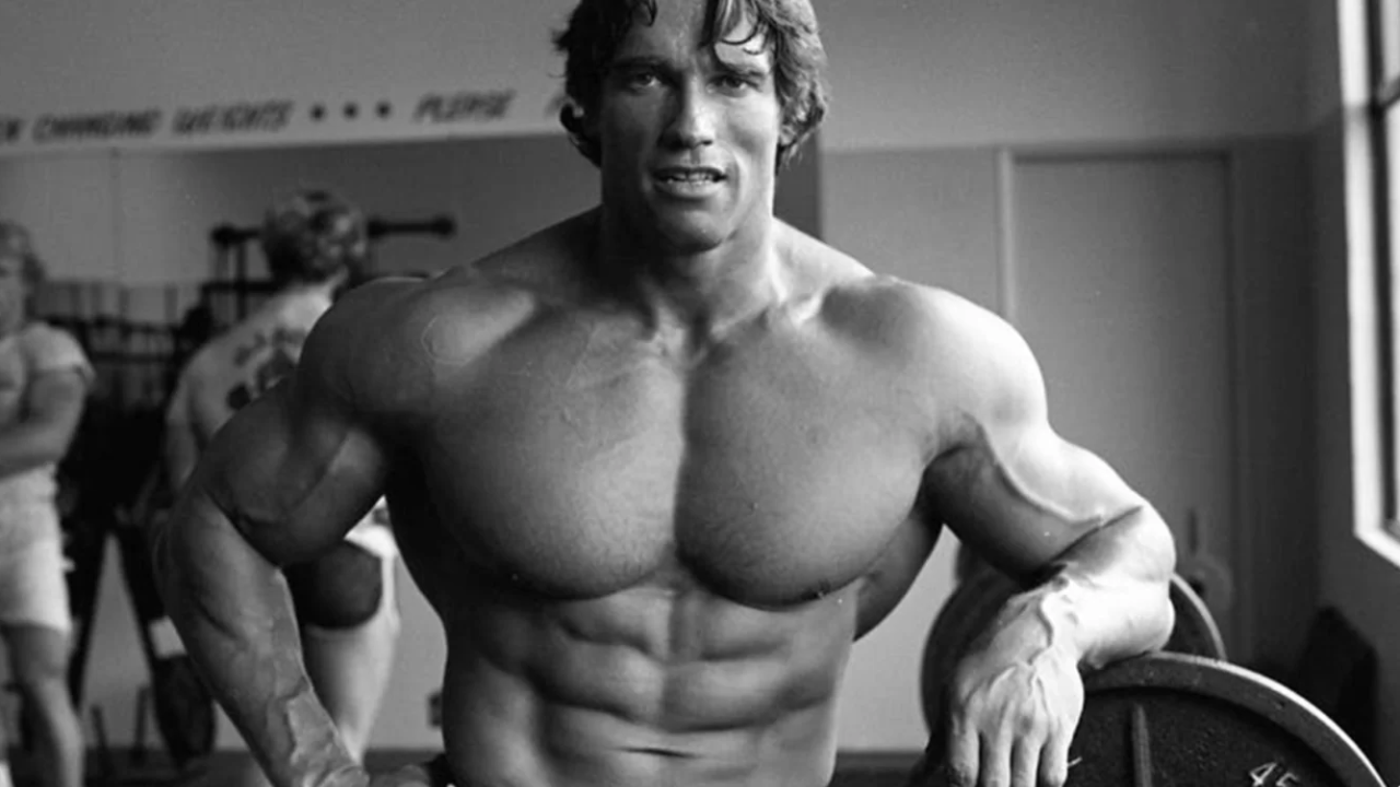 Arnold Schwarzenegger Netflix Arnold Švarceneger