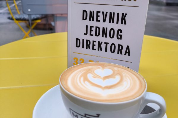 dnevnik jednog direktora